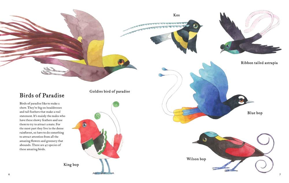 The Atlas of Amazing Birds Hardcover by Tinies Books