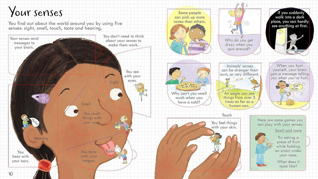 Look Inside Your Body Board Book by Tinies Books