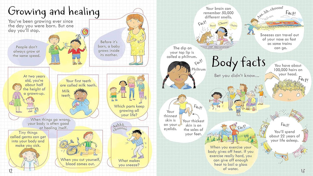 Look Inside Your Body Board Book by Tinies Books