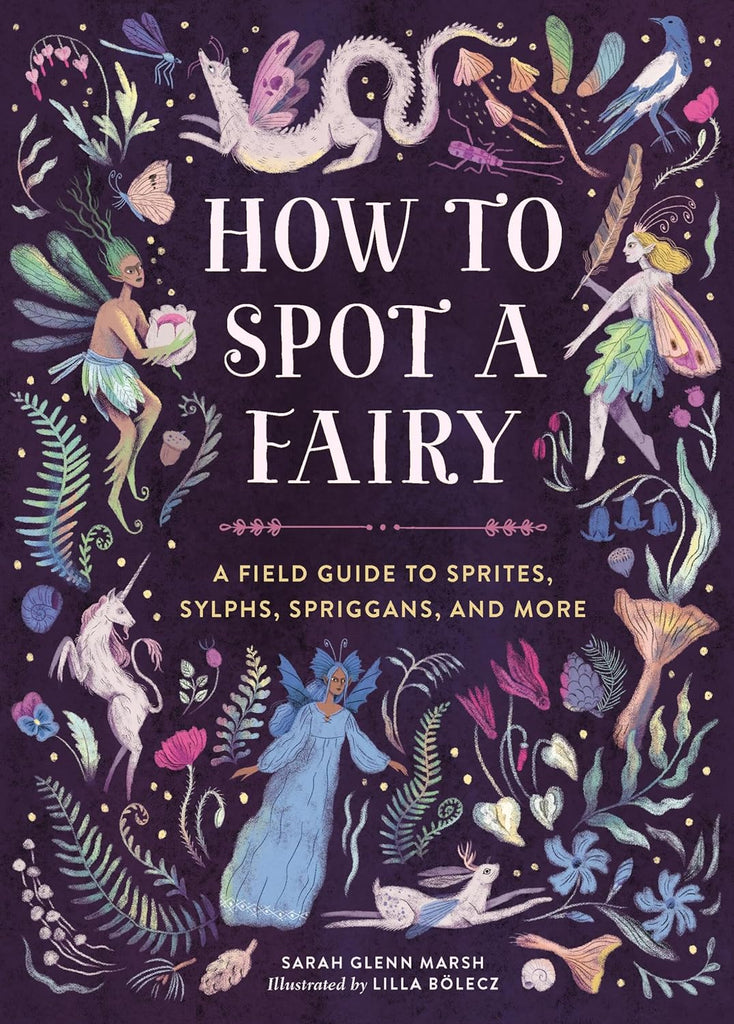 How to Spot a Fairy by Tinies Books