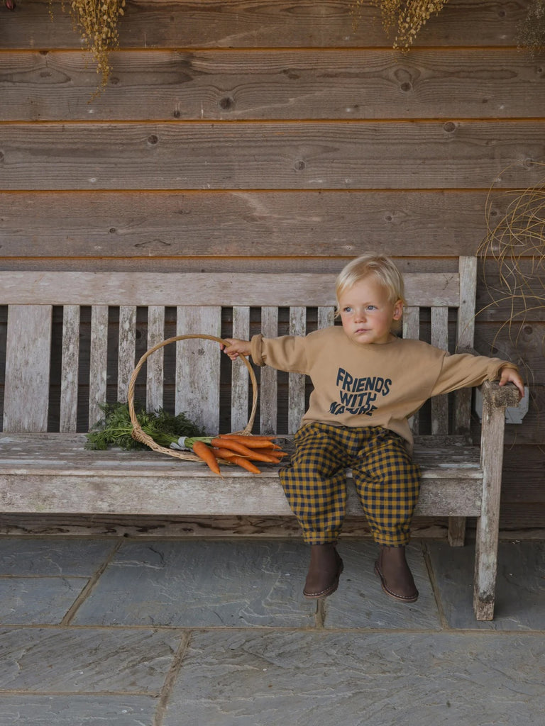 Gingham Carrot Pant (Blueberry) by Organic Zoo